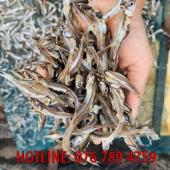 Cá cơm thơm ngon Lagi - Bình Thuận
