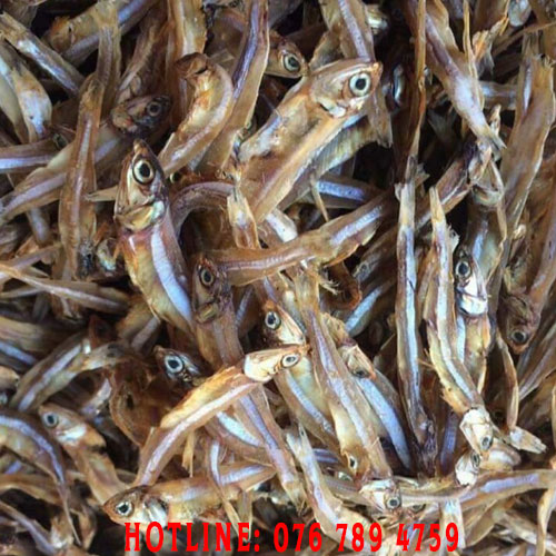 Mua cá cơm khô Hàn Quốc