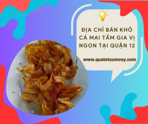 Địa Chỉ Bán Khô Cá Mai Tẩm Gia Vị Ngon Tại Quận 12