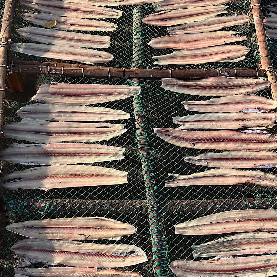 505140601_17906002422187133_3839295620238673018_n