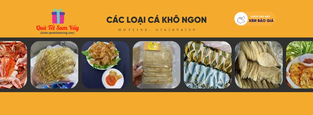 Giới Thiệu