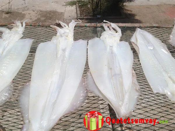 Mực Khô Một Nắng Là Gì & Mực Một Nắng Ở Đâu Ngon Nhất?