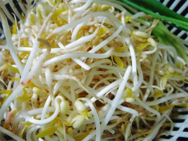 Hướng dẫn cách làm món mực khô xào giá ngon miệng