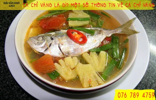 Cá chỉ vàng là gì? Một số thông tin về CÁ CHỈ VÀNG