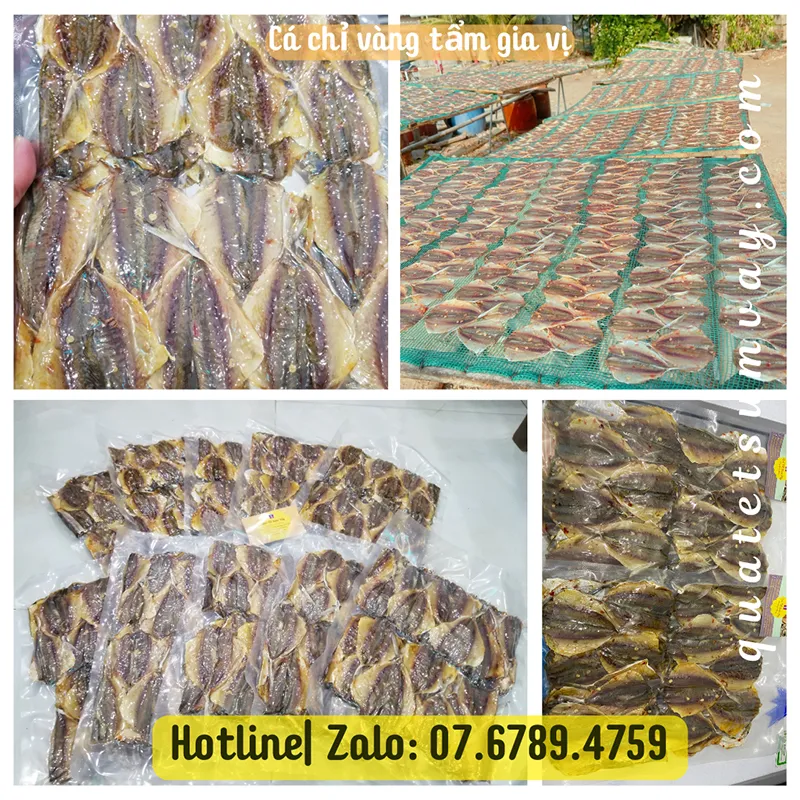 Khô cá chỉ vàng tẩm gia vị thơm ngon Bình Thuận