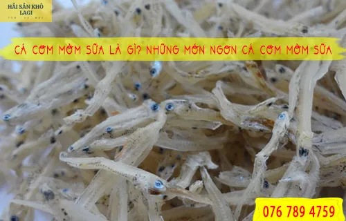Cá cơm mờm sữa khô
