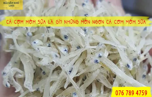 Cá cơm mờm sữa