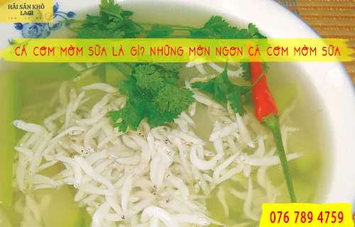 Cá cơm mờm sữa là gì? Những món ngon cá cơm mờm sữa