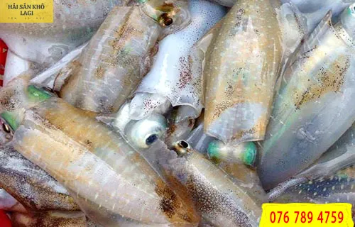 Mực lá