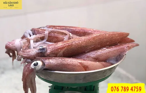 Mực ống