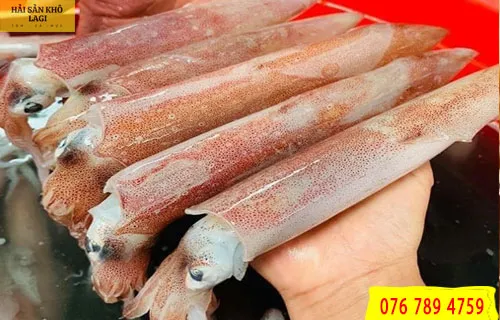 Mực ống