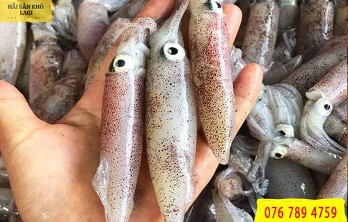 Các loại mực