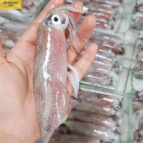 Mực trứng tươi
