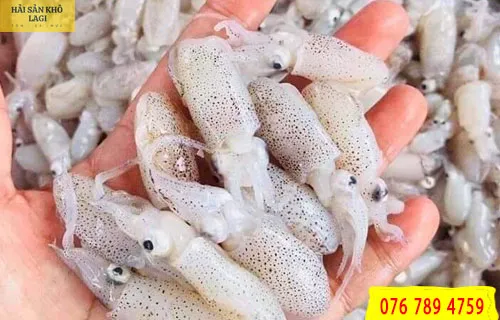 Mực trứng là gì? Hình ảnh mực trứng? Mực trứng làm món gì ngon?