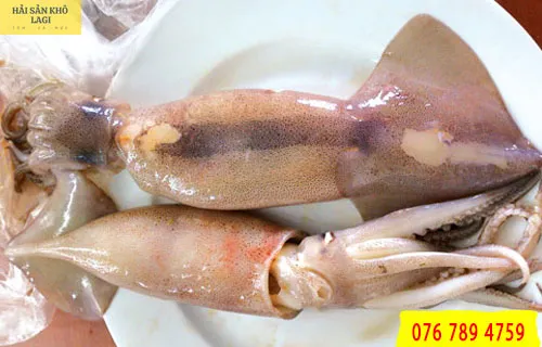 mực xà