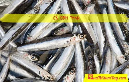 Cá cơm than