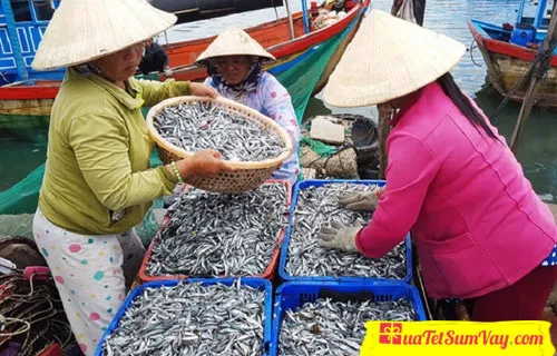 Cá cơm tươi