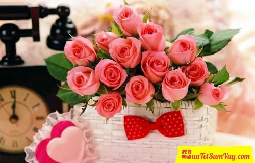Quà tặng 20 tháng 10