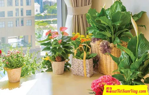 Quà tặng 20 tháng 10