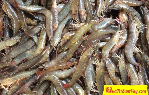 Tôm đất