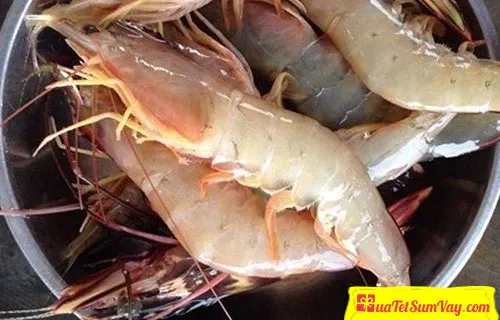 Cách nhận biết các loại tôm phổ biến tại Việt Nam