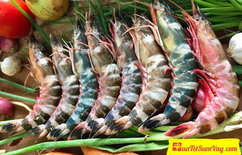 Tôm sắt