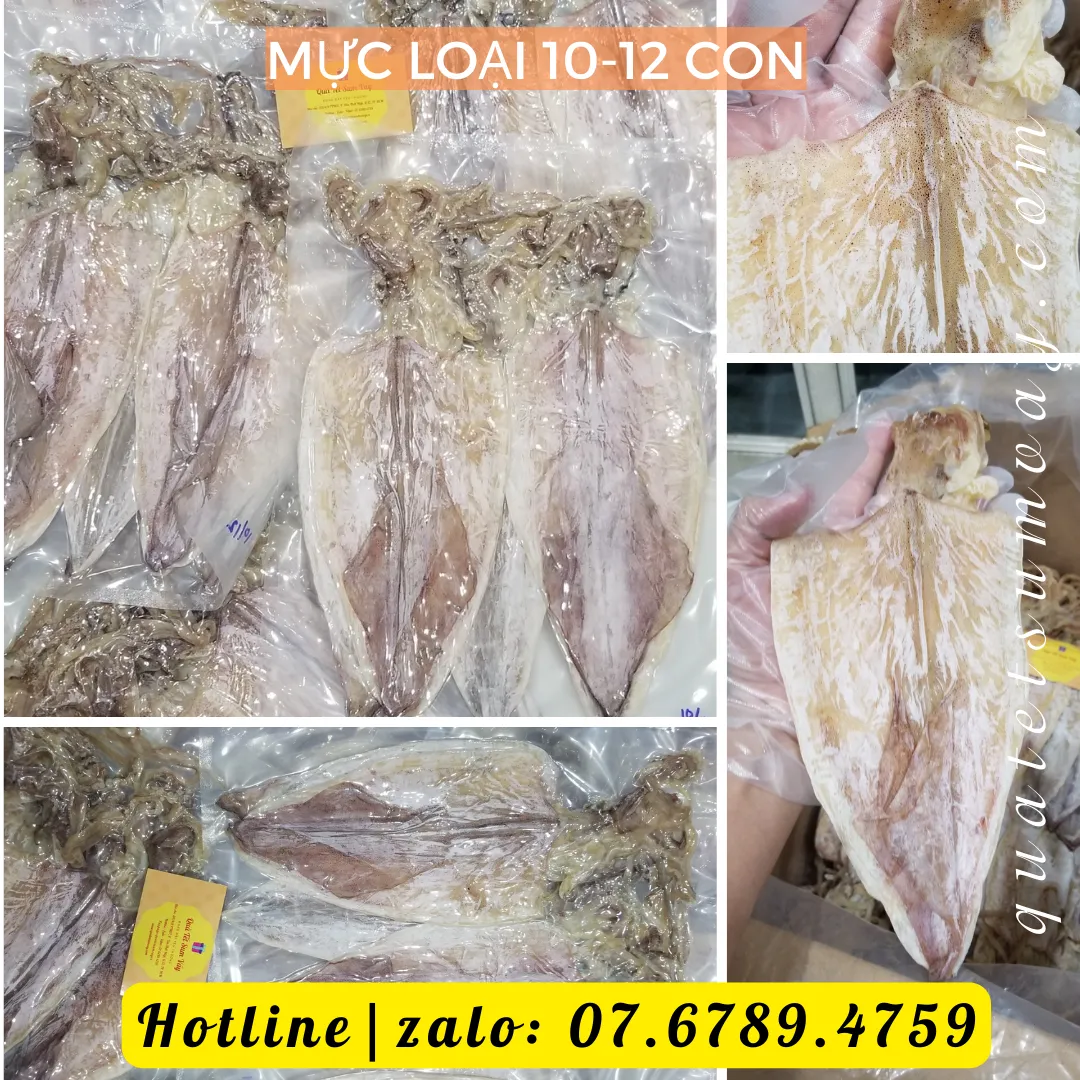 Mực Loại 10 - 12 con Bình Thuận