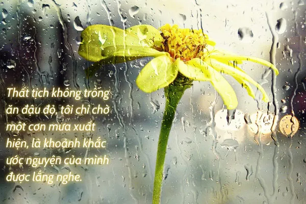  Tổng hợp status, caption thả thính hay trong ngày Thất Tịch